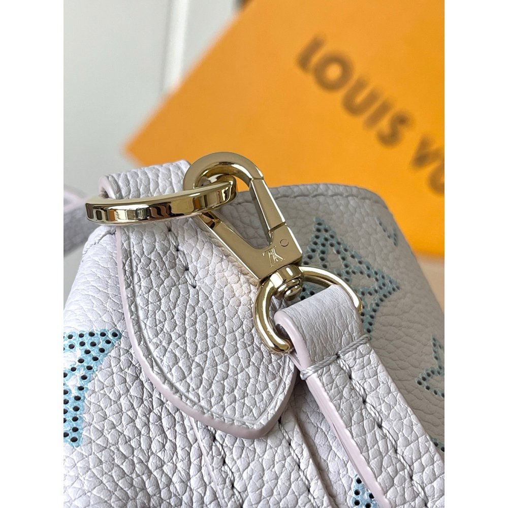 Louis Vuitton Blossom PM Bags M12088 22X14X16cm,Louis Vuitton Bags