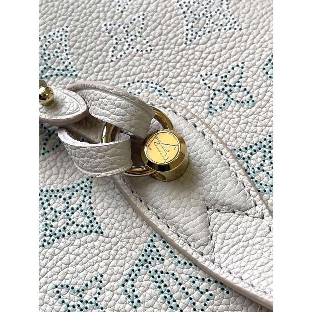 Louis Vuitton Blossom PM Bags M12088 22X14X16cm,Louis Vuitton Bags