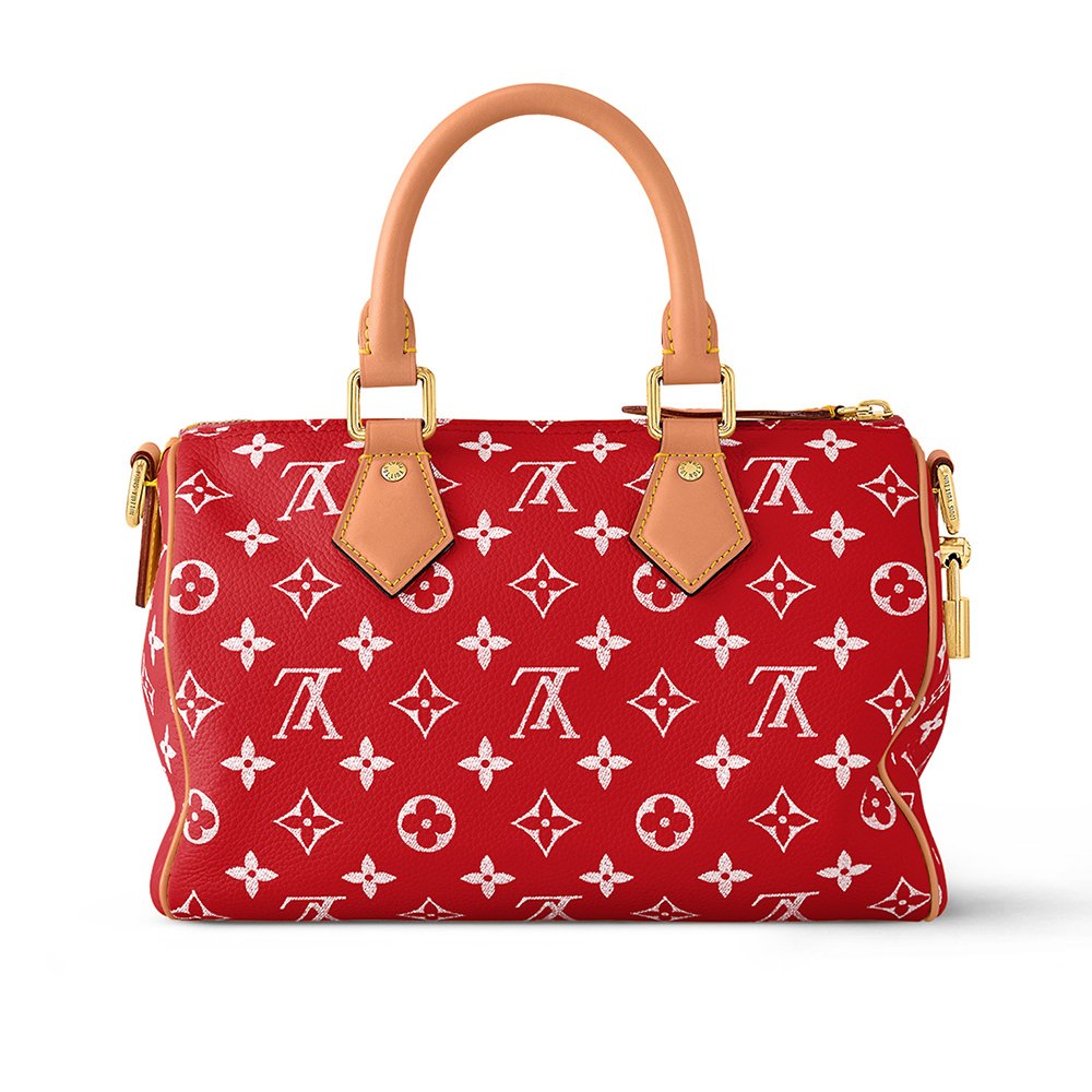 Louis Vuitton Bags M24425 25*15*15cm,Louis Vuitton Bags