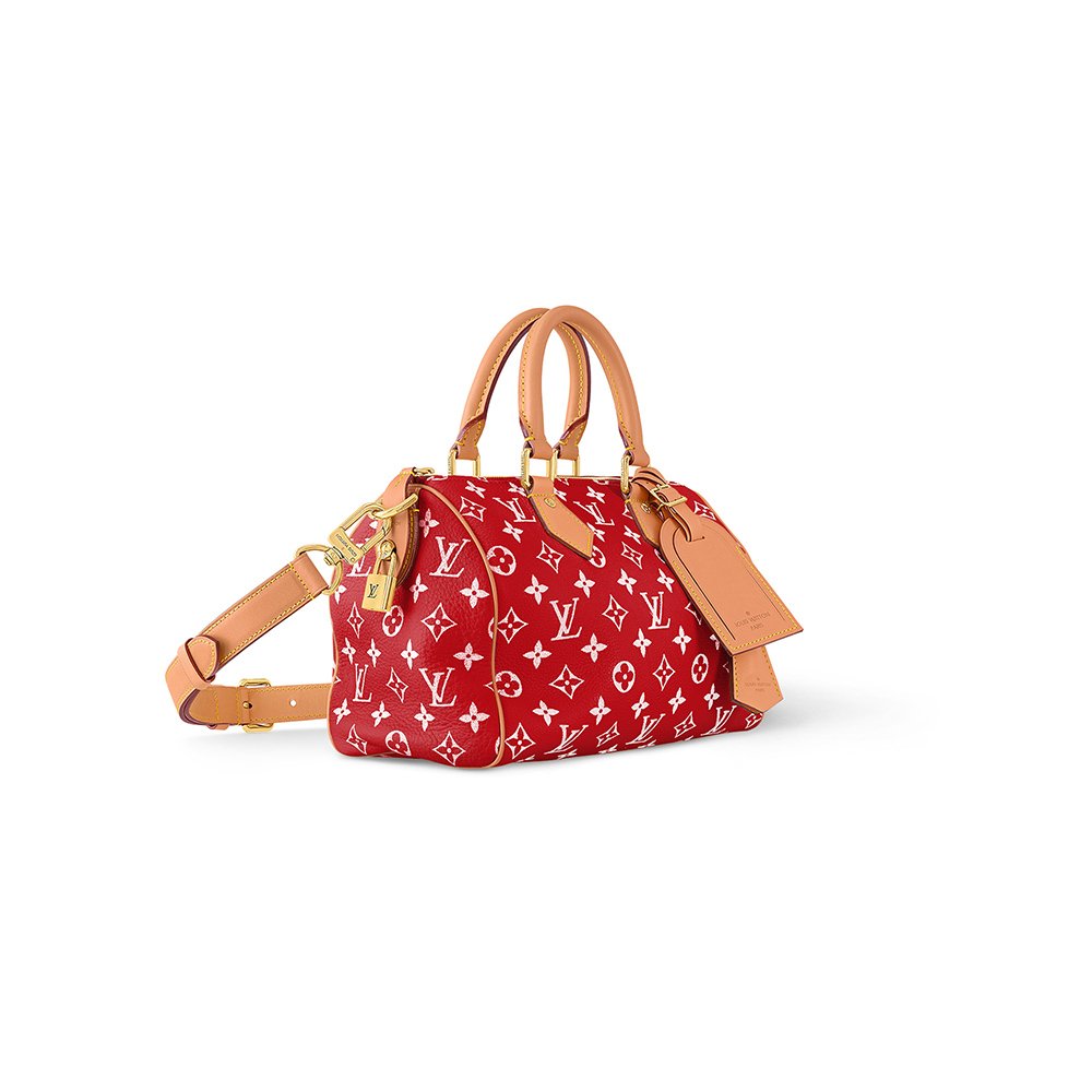 Louis Vuitton Bags M24425 25*15*15cm,Louis Vuitton Bags