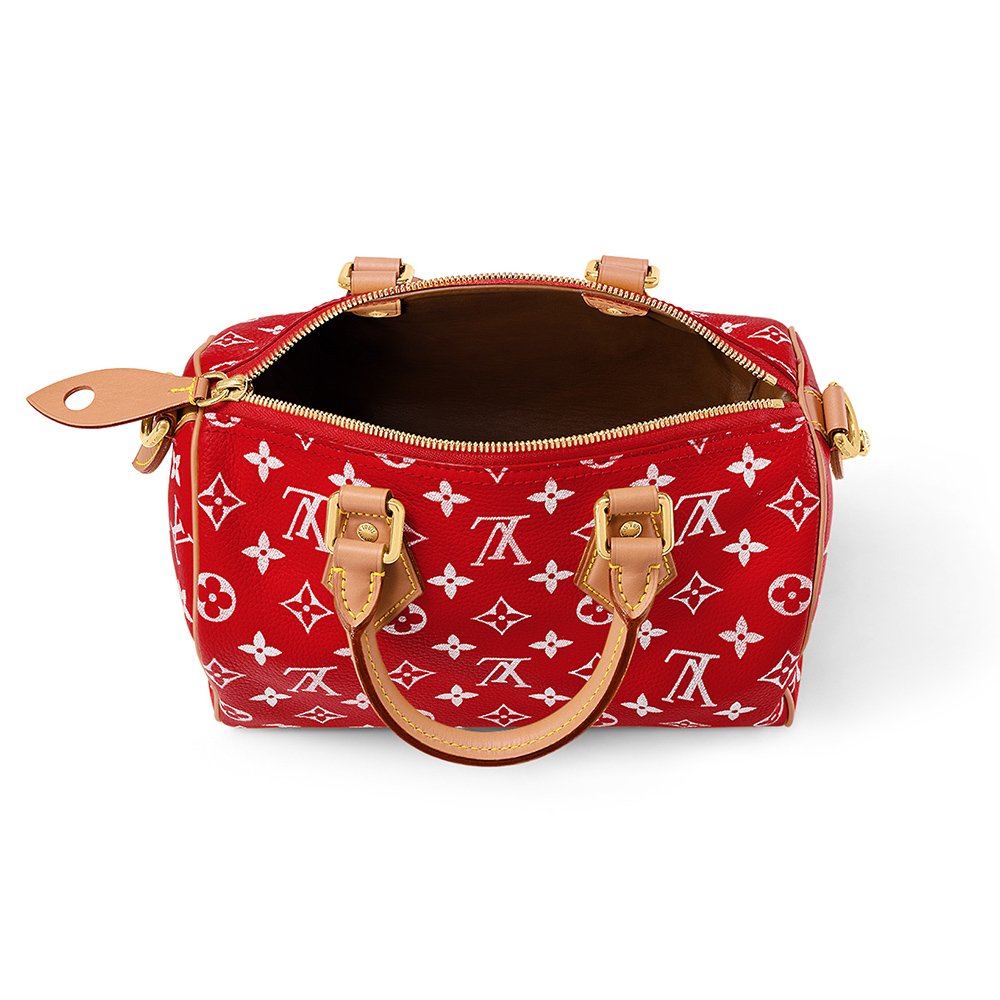 Louis Vuitton Bags M24425 25*15*15cm,Louis Vuitton Bags