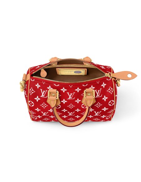 Louis Vuitton Bags M24425 25*15*15cm,Louis Vuitton Bags