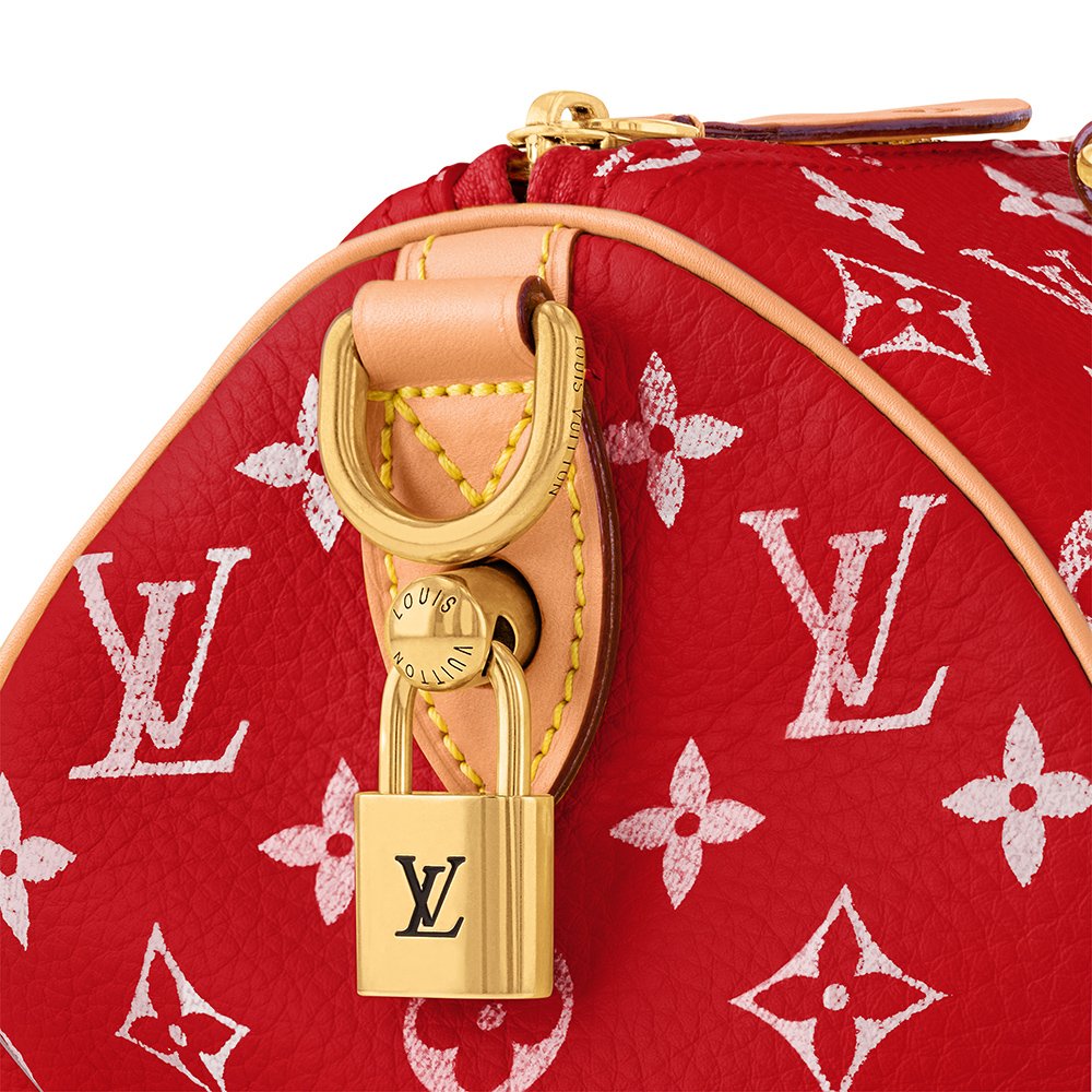 Louis Vuitton Bags M24425 25*15*15cm,Louis Vuitton Bags