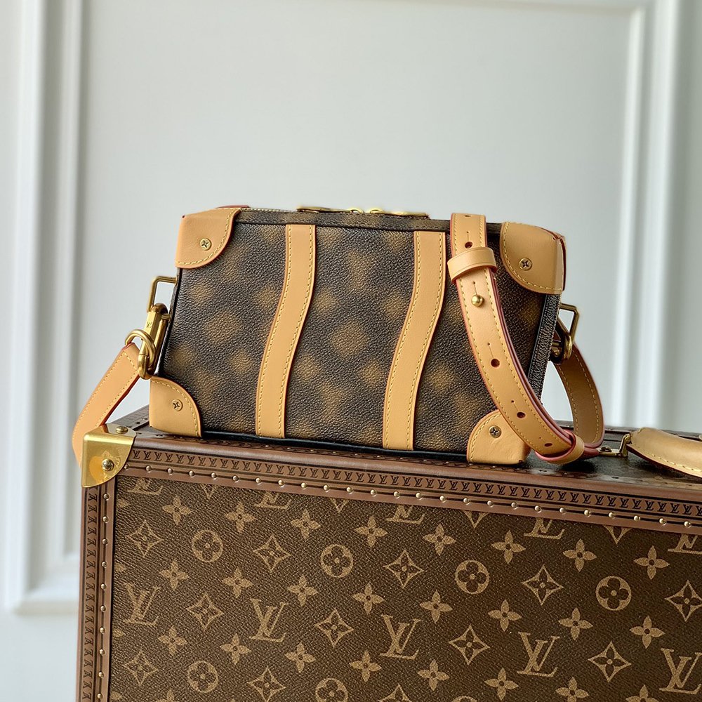 Louis Vuitton Bags M81580 22.5*14*5cm,Louis Vuitton Bags