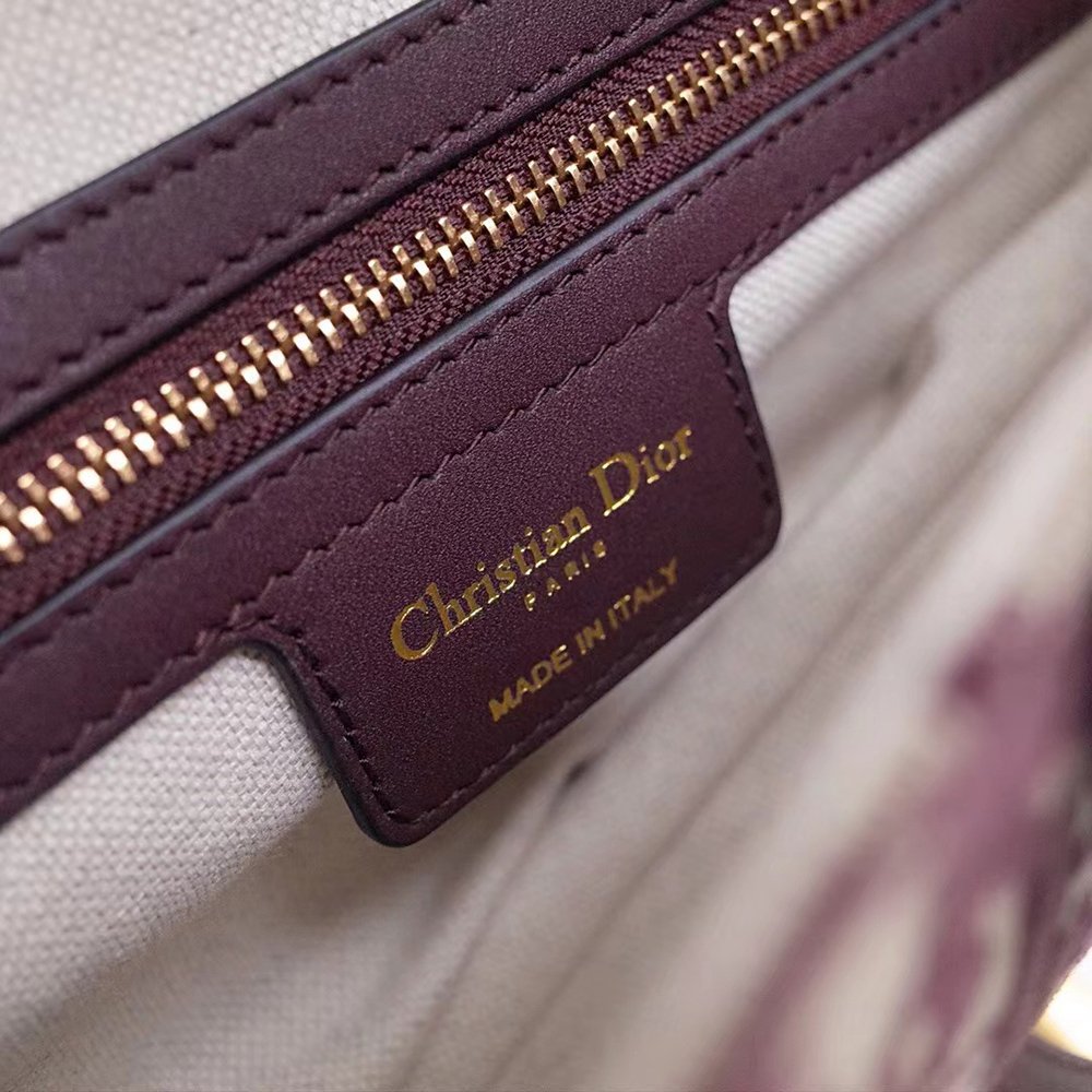 Christian Dior Bags D53150,Christian Dior Bags