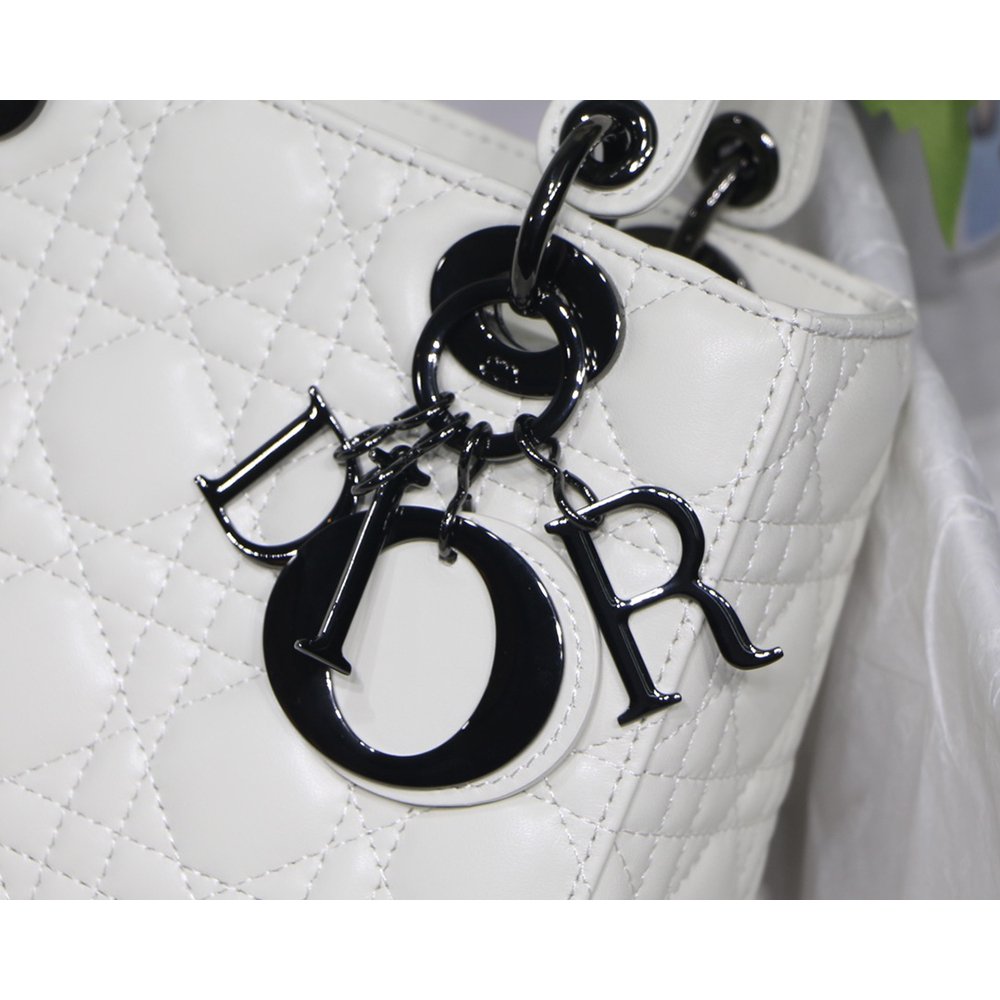 Christian Dior Bags M8001 20cm,Christian Dior Bags