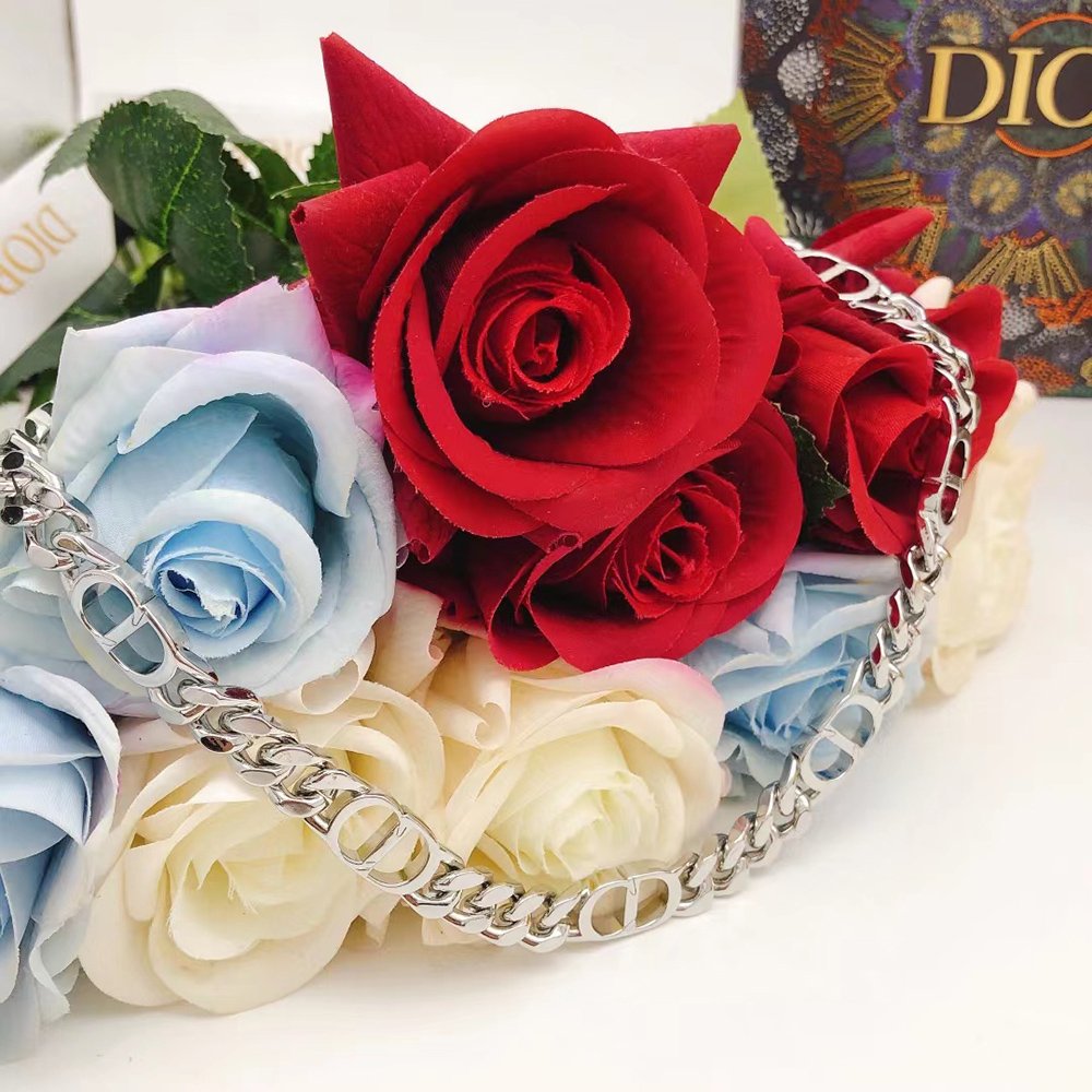 Christian Dior Necklaces N1574 50cm,Dior Jewelry