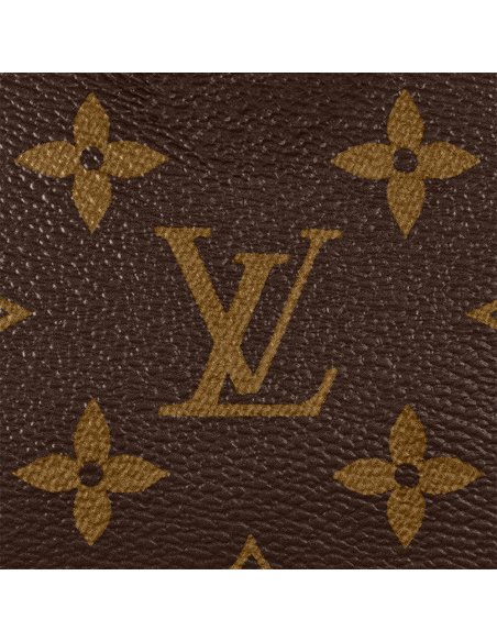Louis Vuitton Nano Speedy Bags M81085 16X10X7.6cm,Louis Vuitton Bags