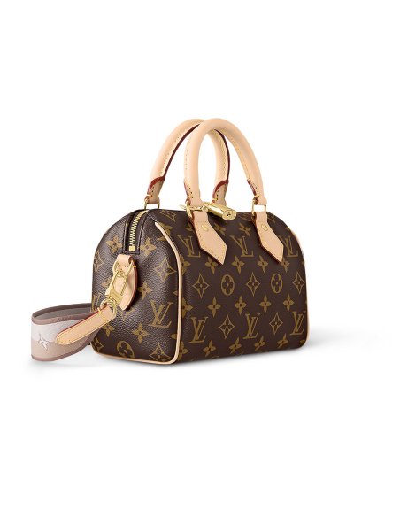 Louis Vuitton Speedy Bandouli¨¨re 20 Bags M46222 20.6X13.5X12cm,Louis Vuitton Bags
