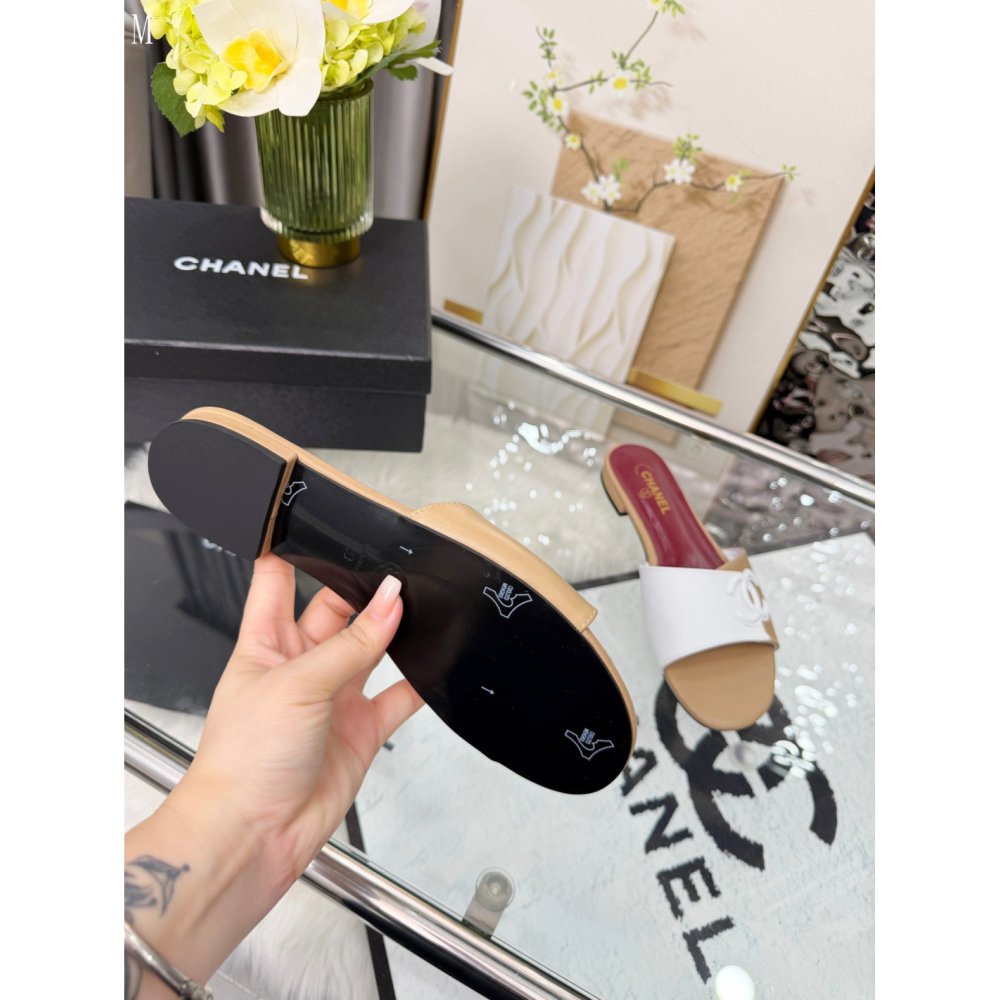 Chanel Slippers 175,Chanel Slippers,Slides Slippers,More Brands